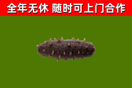 华宁县烟酒回收干海参.jpg